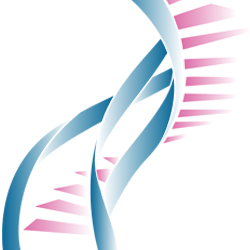 Structural Health and Wellness logo